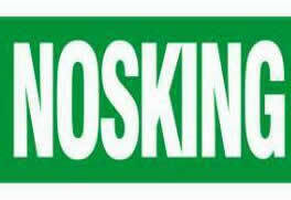 NOSKING GLOBAL RESOURCES