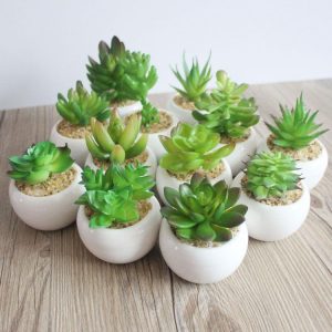 Lovely Set of 6 Artificial Mini Succulent Plants