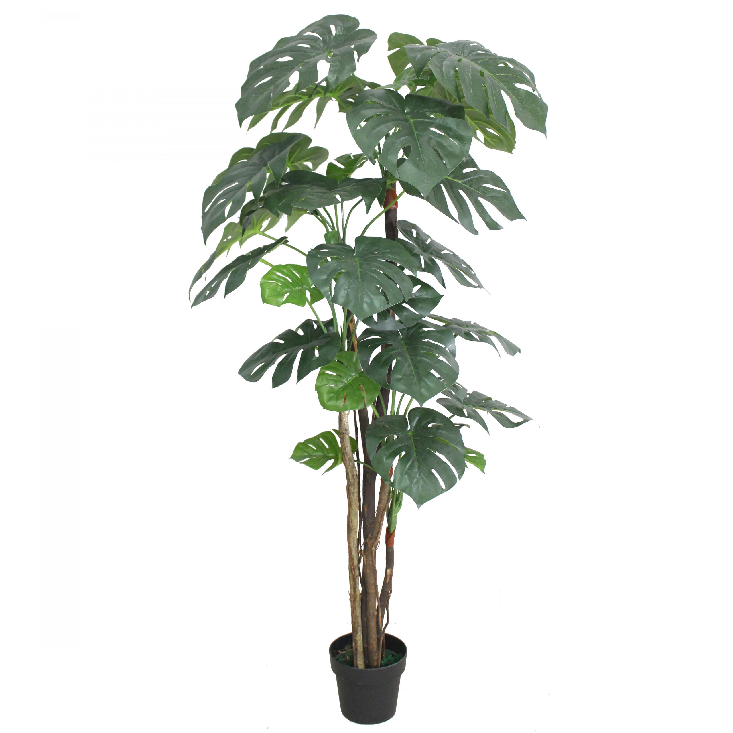 Monstera Artificial Plant Chronos Stores