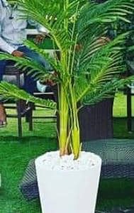 buy artificial plants in lagos