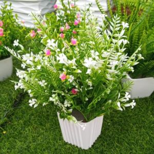 buy artificial plant - indoor and outdoor in Nigeria