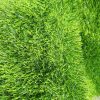 where to buy artificial green grass in lagos