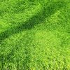 buy artificial grass in lagos